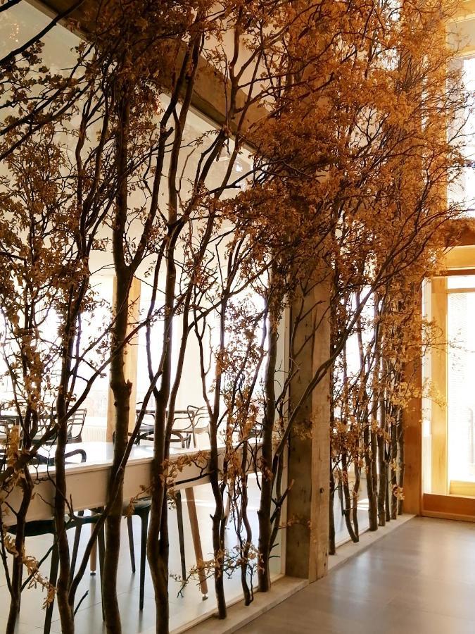 Hotel Costanera بويرتو ناتالز المظهر الخارجي الصورة